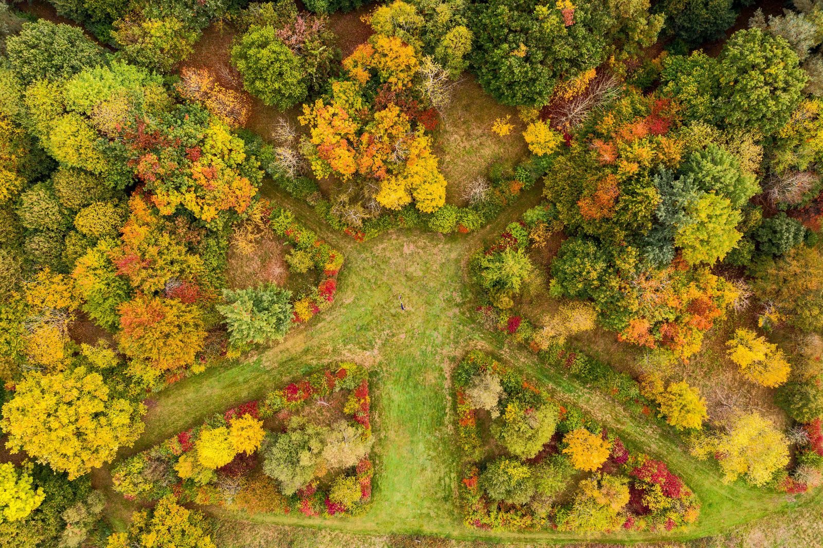 © Ollie Dixon,  a overhead shot of the arboretum